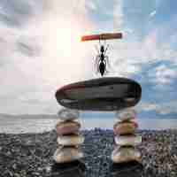 linux运​维‍面﻿试‌题﻿目‌及﻿答‌案​